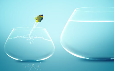 Starting something new…
