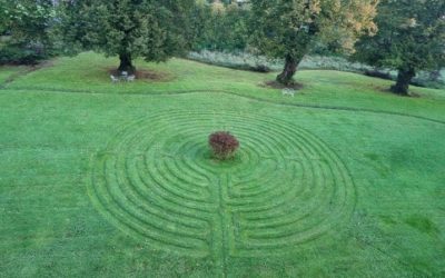 Labyrinth