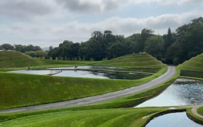 Guest Blog – Mark Kelly